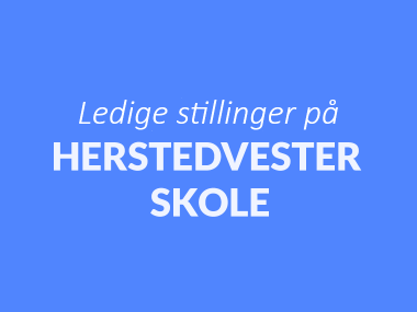 Ledige stillinger i Skole og SFO